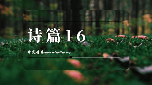 【命定音乐】第51首-《诗篇16》